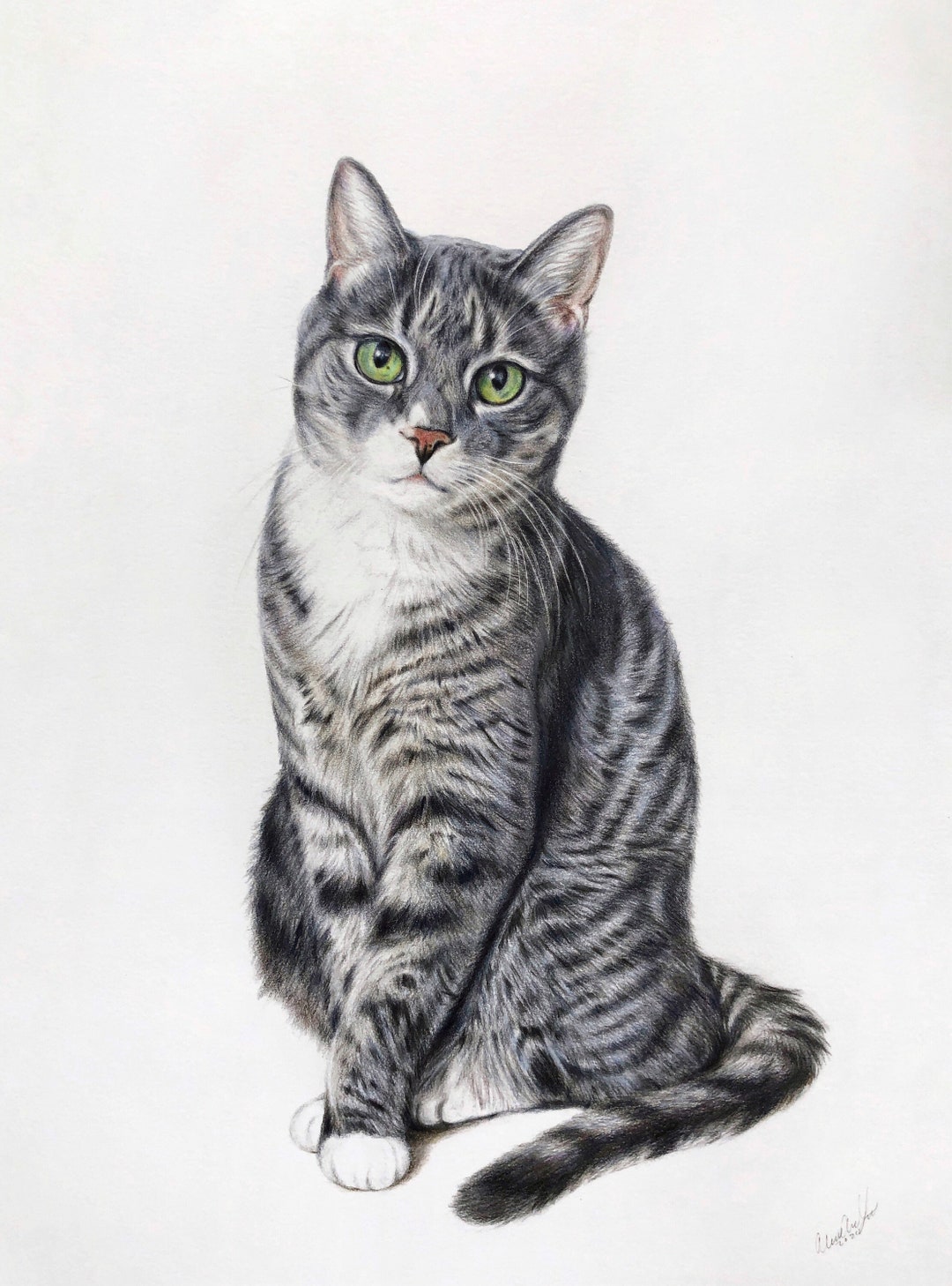 Retrato de gato personalizado en lápiz de color dibujo - Etsy México