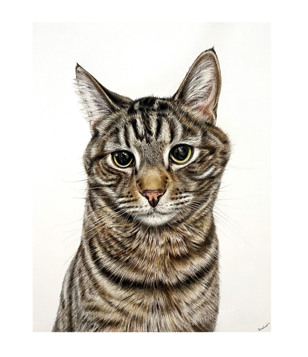Hand Drawn Pet Portrait: Custom Colored Pencil Dog & Cat Art Horse ...
