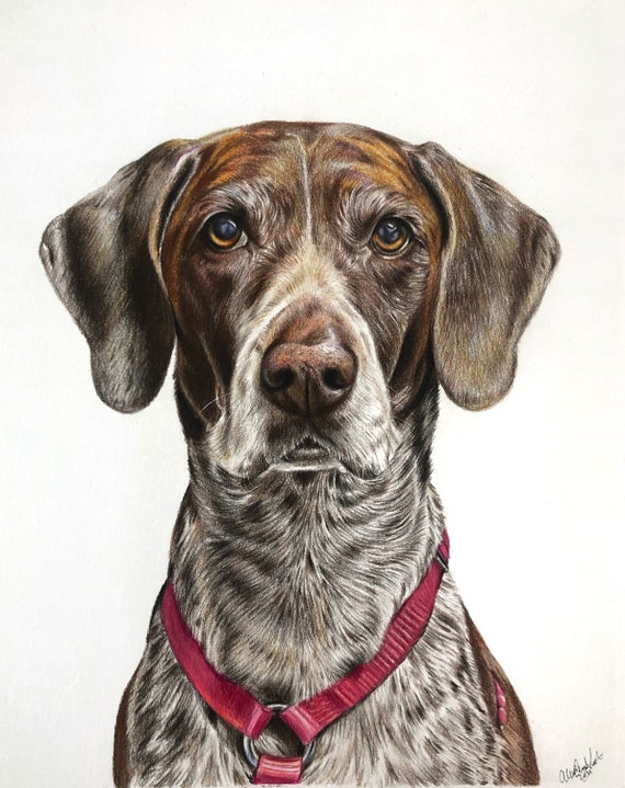 Retrato realista de mascotas Dibujo de perro Lápiz de color - Etsy España