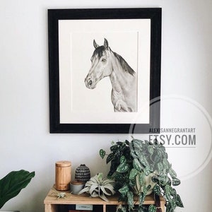 Horse Portrait, Custom Horse Portrait, Pet Drawing, Animal Lover Gift, Equestrian Gift, Horse and Rider, Custom Illustration, Farm Animal