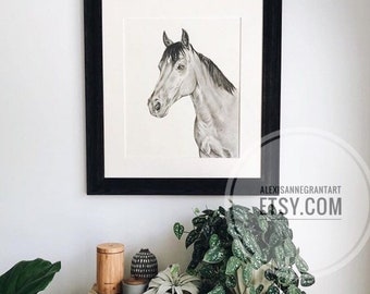 Horse Portrait, Custom Horse Portrait, Pet Drawing, Animal Lover Gift, Equestrian Gift, Horse and Rider, Custom Illustration, Farm Animal