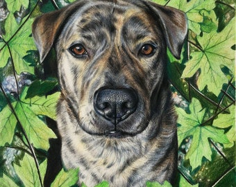Custom Pet Portrait With a Full Background, Plants and Flowers, Colored Pencil on Bristol Board