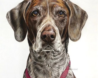 Lifelike Pet Portrait in Colored Pencil Animal Lover Gift Dog Portrait Drawing Personalized Art