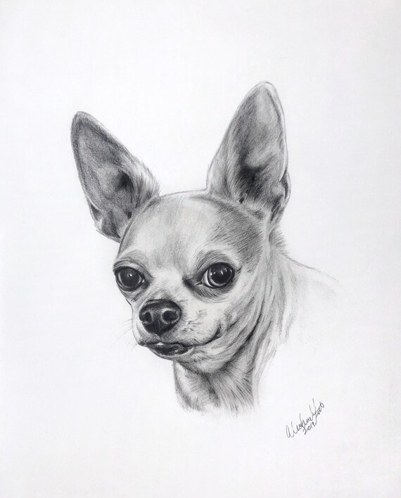 birthday present for animal lover