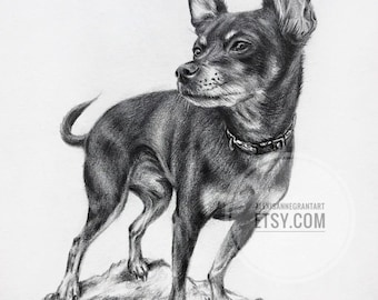 Lifelike Dog Portrait, Pencil on Paper, Custom Pet Portrait, Gift for Him, Pet Parent Gift, Pet Memorials, Animal Lover Gift, Pet Loss Gift