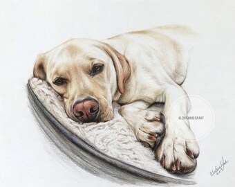 Realistic Pet Portrait, Dog Drawing, Colored Pencil, Art From Photo, Animal Lover Gift, Cat Lover, Memorials