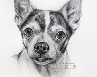 Dog Memorial, Dog Portrait, Cat Portrait, Pencil Portrait, Pet Parent Gift, Memorials and Tributes, Timeless Art, Graphite on Paper