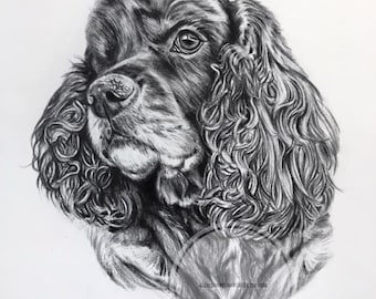 Realistic Pet Portrait Drawing in Black and White Graphite Pencil