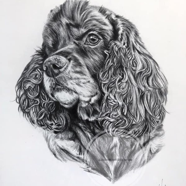 Realistic Pet Portrait Drawing in Black and White Graphite Pencil