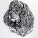 see more listings in the Pencil Portraits section