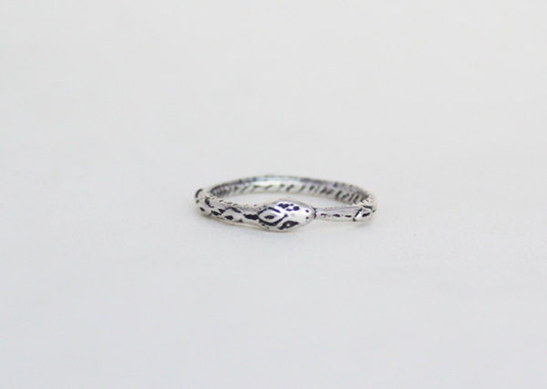 Ouroboros ring Silver image 1