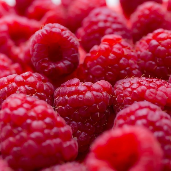 Tulameen Red Raspberry