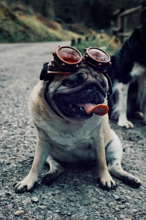 Steampunk Goggles With Red Lenses