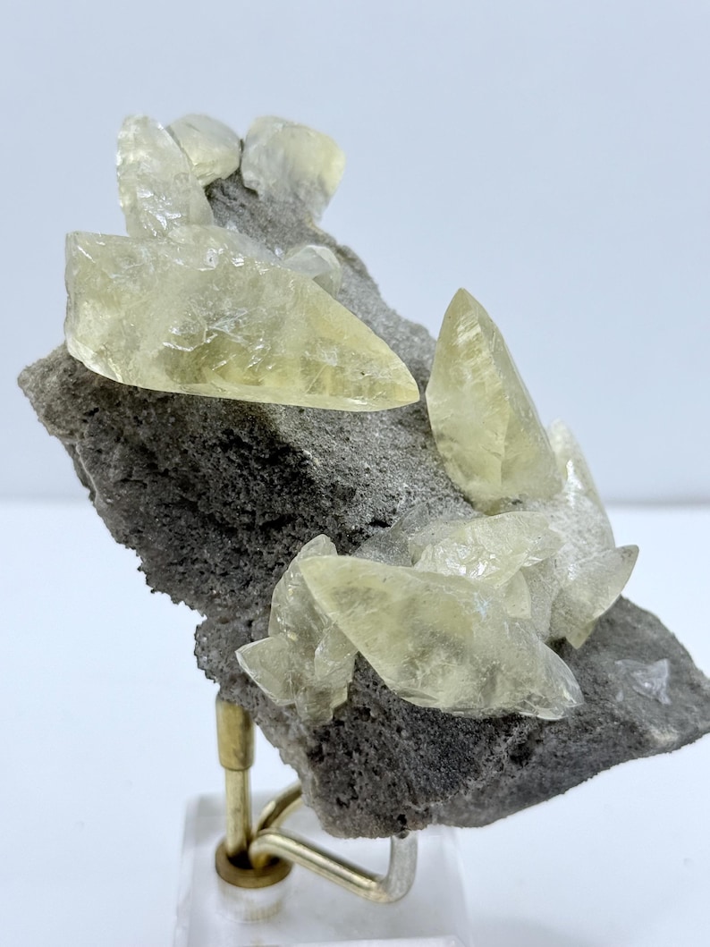 May include: A mineral specimen featuring pale yellow calcite crystals on a dark grey matrix. The translucent crystals have a sharp, pointed form. The specimen is mounted on a clear stand.