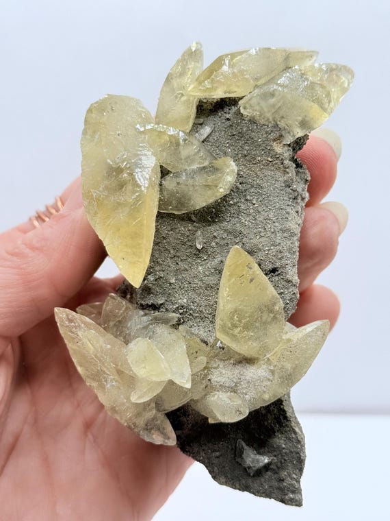 Sweetwater Yellow Calcite Dogtooth Cluster with Druzy and Pyrite