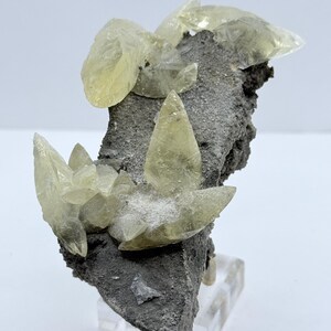 May include: A mineral specimen featuring pale yellow calcite crystals on a dark grey matrix. The translucent crystals have a sharp, pointed form, with some larger formations. The specimen is displayed on a clear acrylic stand.