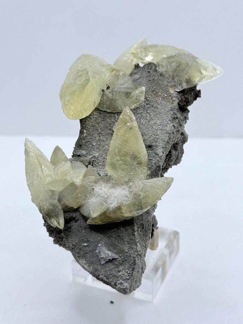 May include: A mineral specimen featuring pale yellow calcite crystals on a dark grey matrix. The translucent crystals have a sharp, pointed form, with some larger formations. The specimen is displayed on a clear acrylic stand.