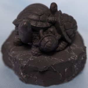 Shungite Turtle Family Figure
