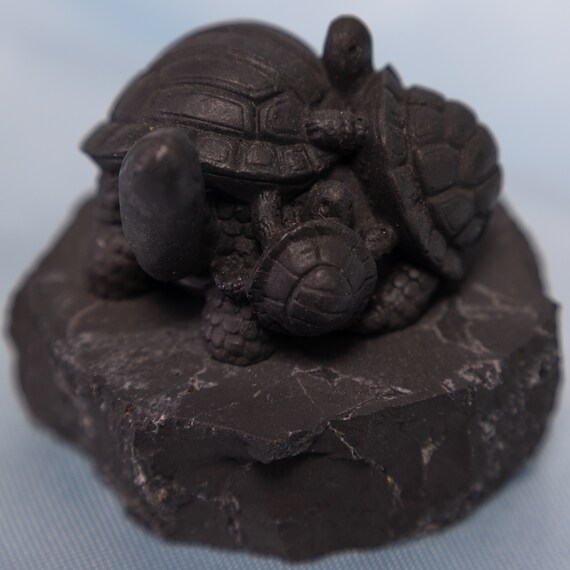Shungite Turtles Shungite Turtles