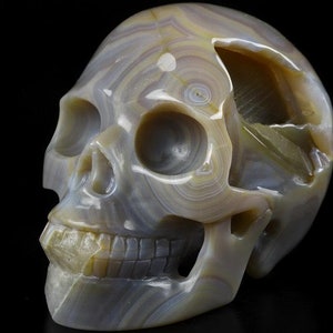 Skull Agate Crystal Realistic