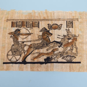 Hunting Egyptian Papyrus