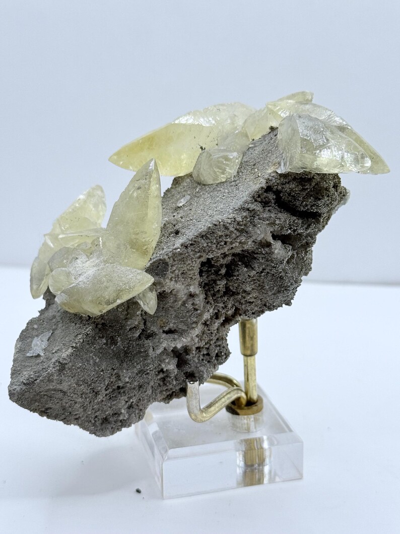 May include: A light yellow calcite crystal cluster on a dark grey rock matrix. The crystals are translucent and have a pointed, crystalline structure. The specimen is mounted on a clear acrylic base with a gold-coloured metal support.