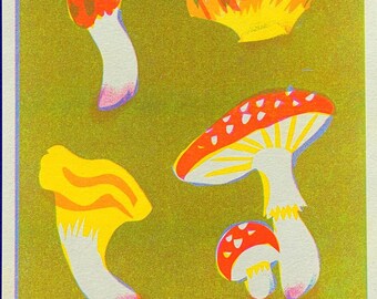 MUSHROOMS RISO - fluo A4 riso print of forest fungi collection