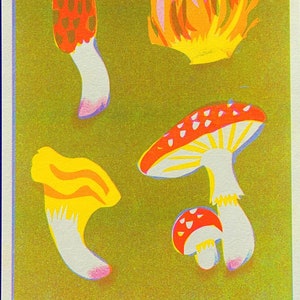 MUSHROOMS RISO fluo A4 riso print of forest fungi collection image 1