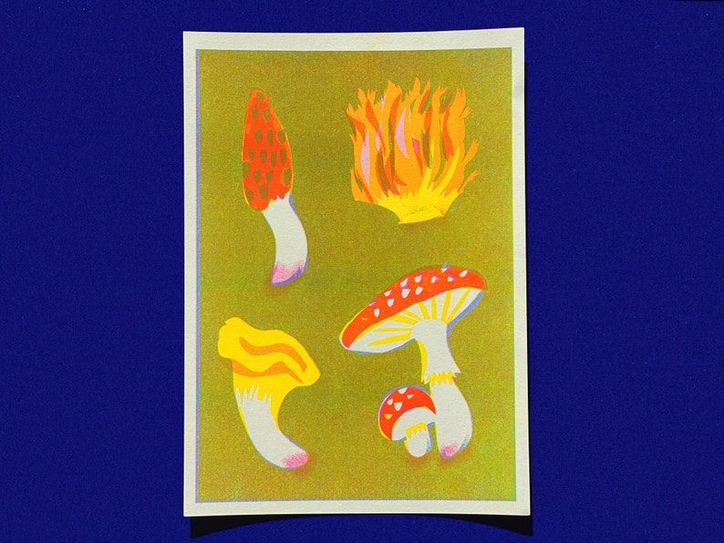 MUSHROOMS RISO fluo A4 riso print of forest fungi collection image 1