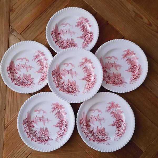 Set 6 piatti porcellana inglese Johnson Bros rosa