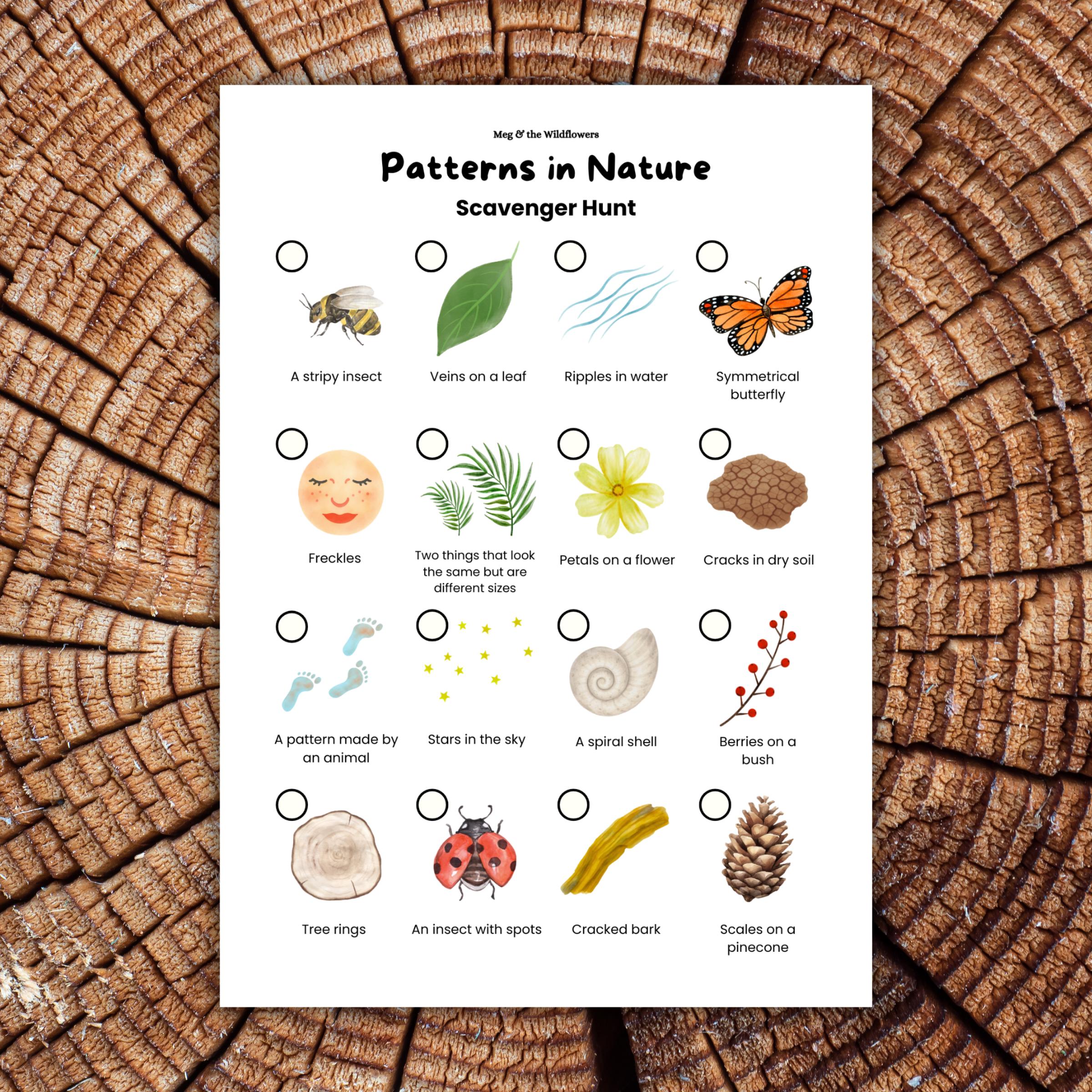 Patterns in Nature Scavenger Hunt for Kids | Nature Activity Printable ...