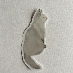 Contour die cut vinyl sticker, White beige fluffy Cat, Original artwork, Waterproof, Pen paling snail mail, cat kitten lover gift