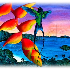 May include: A vibrant watercolor painting of a hummingbird with a long tail, hovering near a red and yellow flower. The background features a tropical landscape with a blue ocean and green hills.