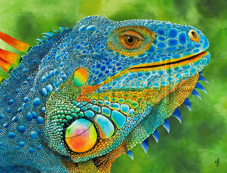 colorful iguana: Bejeweled image 1