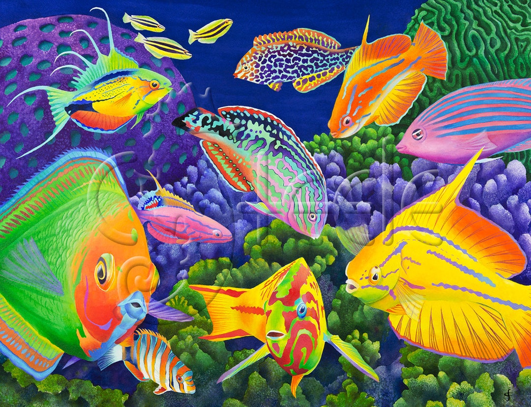 Exotic Colorful Tropical Fish, Coral Reef: Wrasse Appeal
