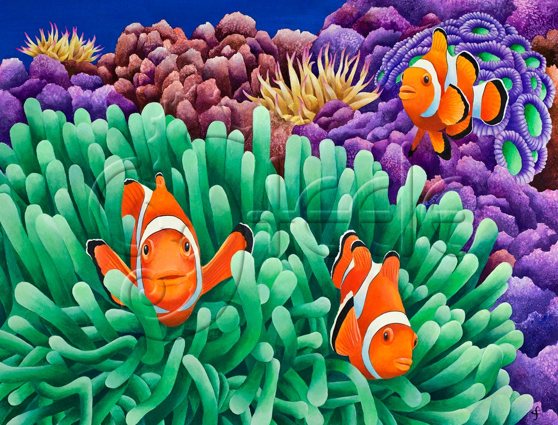 Anemone Fish Clownfish Clowning Around Etsy Anemone Fish Clownfish Clowning Around Etsy