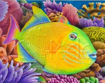 Carolyn Steele tropical art print, scuba & snorkel, coral reef, exotic triggerfish: "Crosshatch Triggerfish"