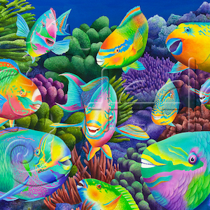 Carolyn Steele art print of colorful parrotfish: Send In The Clowns