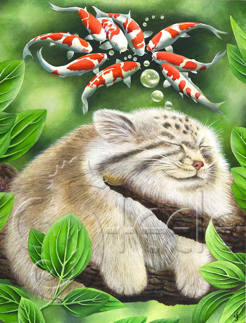 Fluffy Cat Koi Fish koi Dreaming Etsy