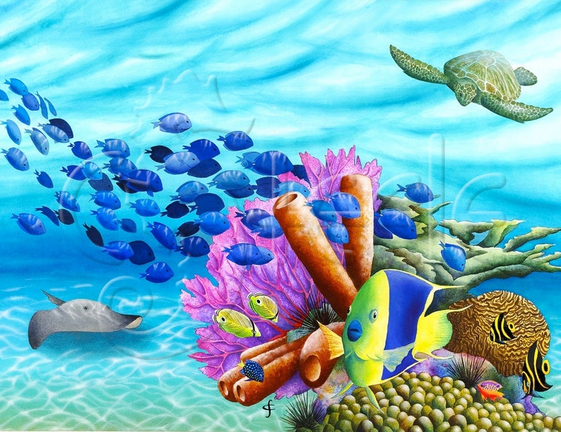 Carolyn Steele Tropical Art Print, Scuba & Snorkel, Coral Reef ...
