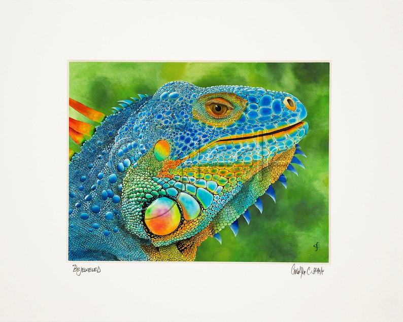 colorful iguana: Bejeweled image 2