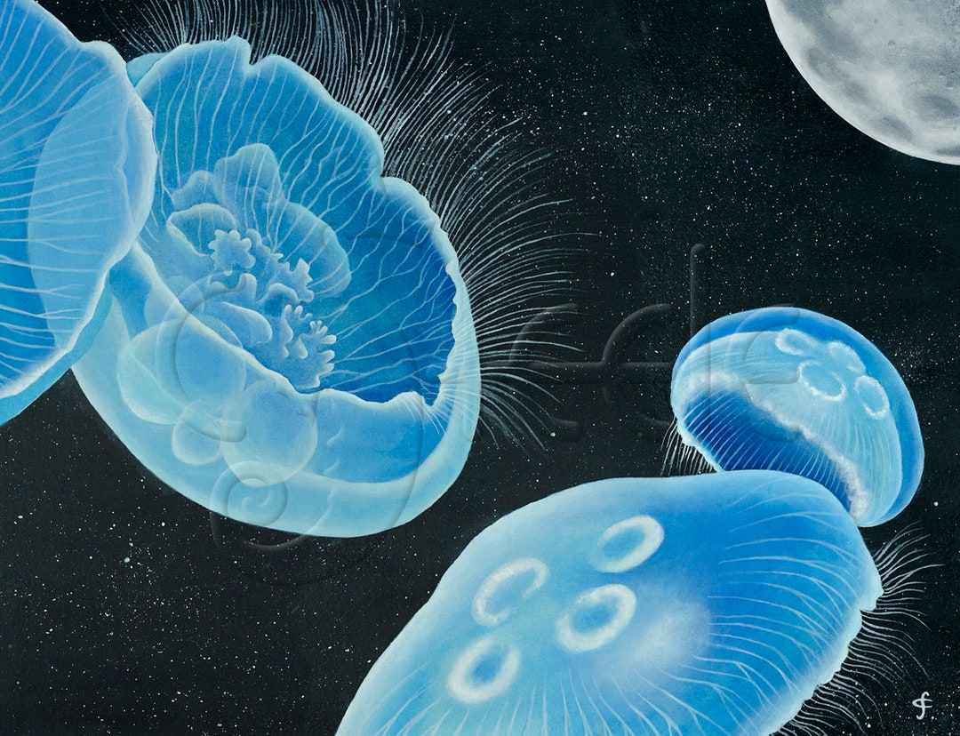 Moon Jellyfish, Surreal, Moon, Outer Space: Moon Jellies - Etsy
