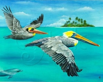 8x10 matted print, pelicans, tropical, "Race You To Key Largo"