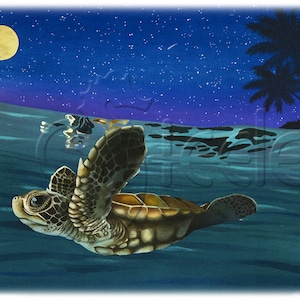 Kunstkarten, Notizkarten, 5er Pack, innen blanko, tropisch, Baby Schildkröte schwimmend bei Mondscheinnacht: Waterlemon Moon