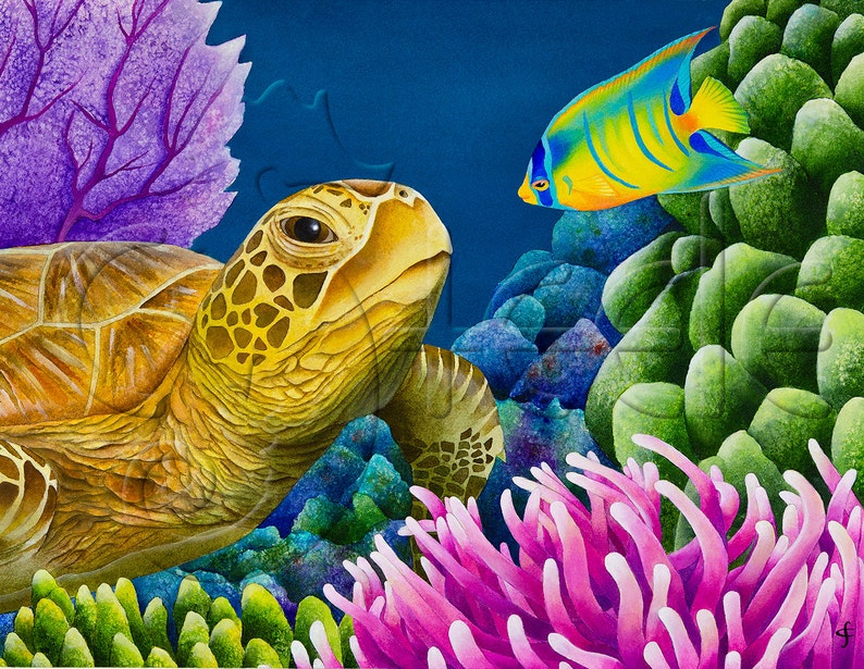 Sea Turtle Juvenile Queen Angelfish Coral Reef: reef - Etsy