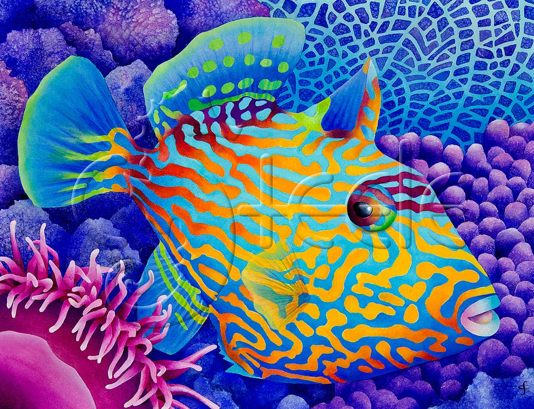 Exotic Fish Wholesale Tropical Fish Exotic Tropical Fish, Coral