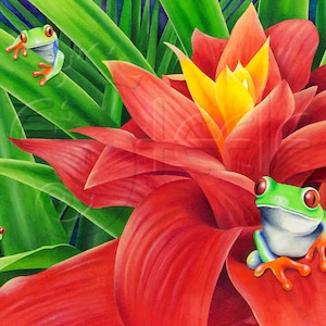 Tropical art print - green tree frogs: &quot;Three Amigos&quot;