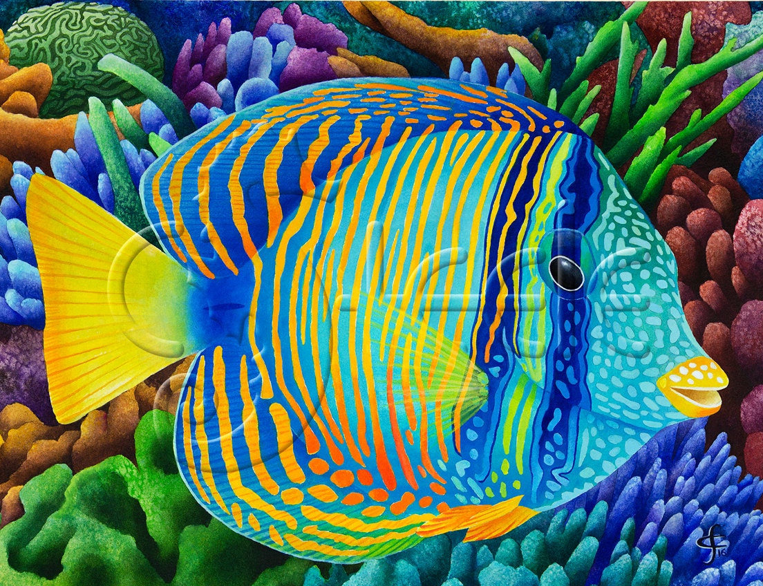 Colorful Tropical Fish Images
