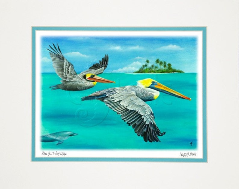 8x10 matted print, pelicans, tropical, Race You To Key Largo image 3