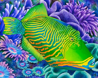 Carolyn Steele tropical art print, scuba & snorkel, coral reef, exotic triggerfish: "Undulated Triggerfish"